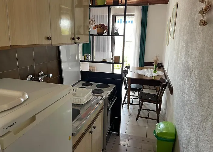 Apartman Ficurin *